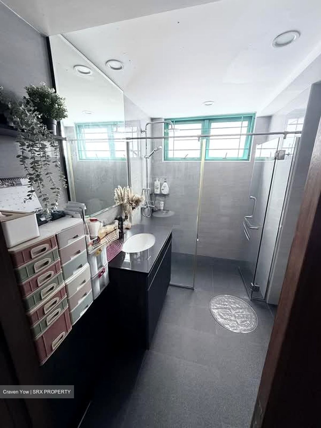 Celadon View (D17), Apartment #549004471